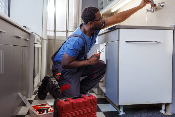 Best Residential Plumbing Services  in Ellsworth, WI